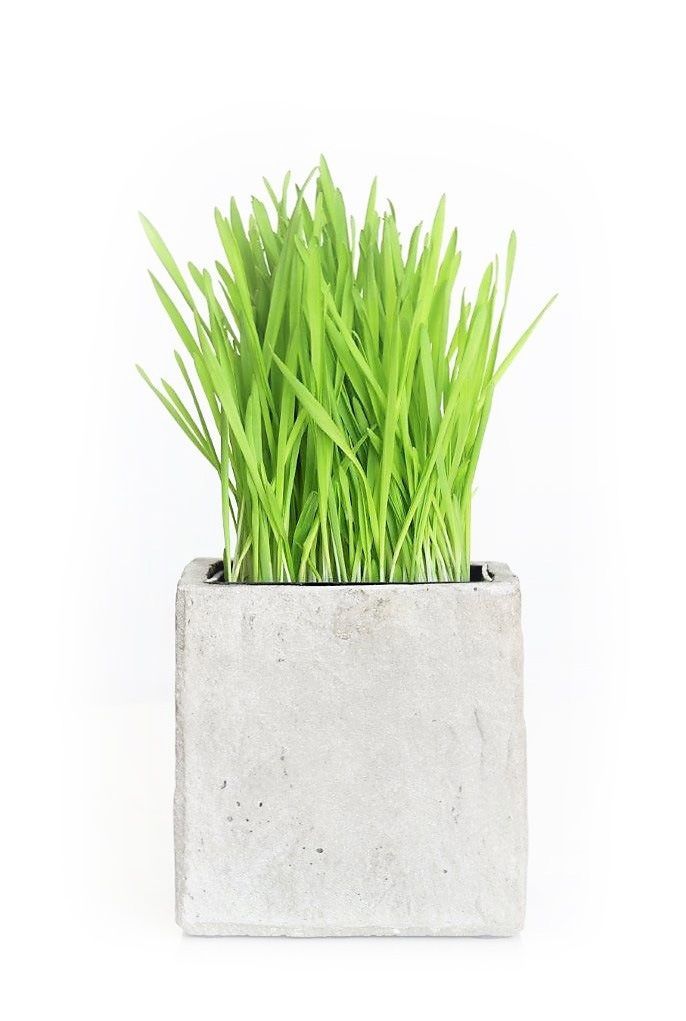 LSL Outdoor Square Pot